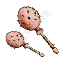 Funky Maracas